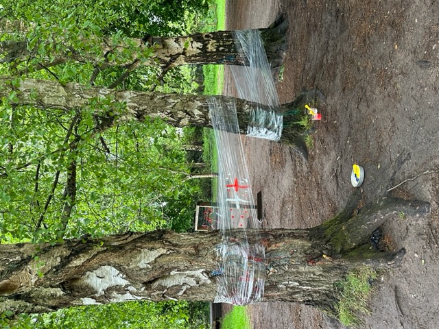 Painting in the paddock!