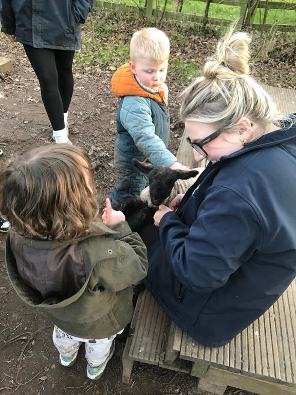 When a lamb came to visit!